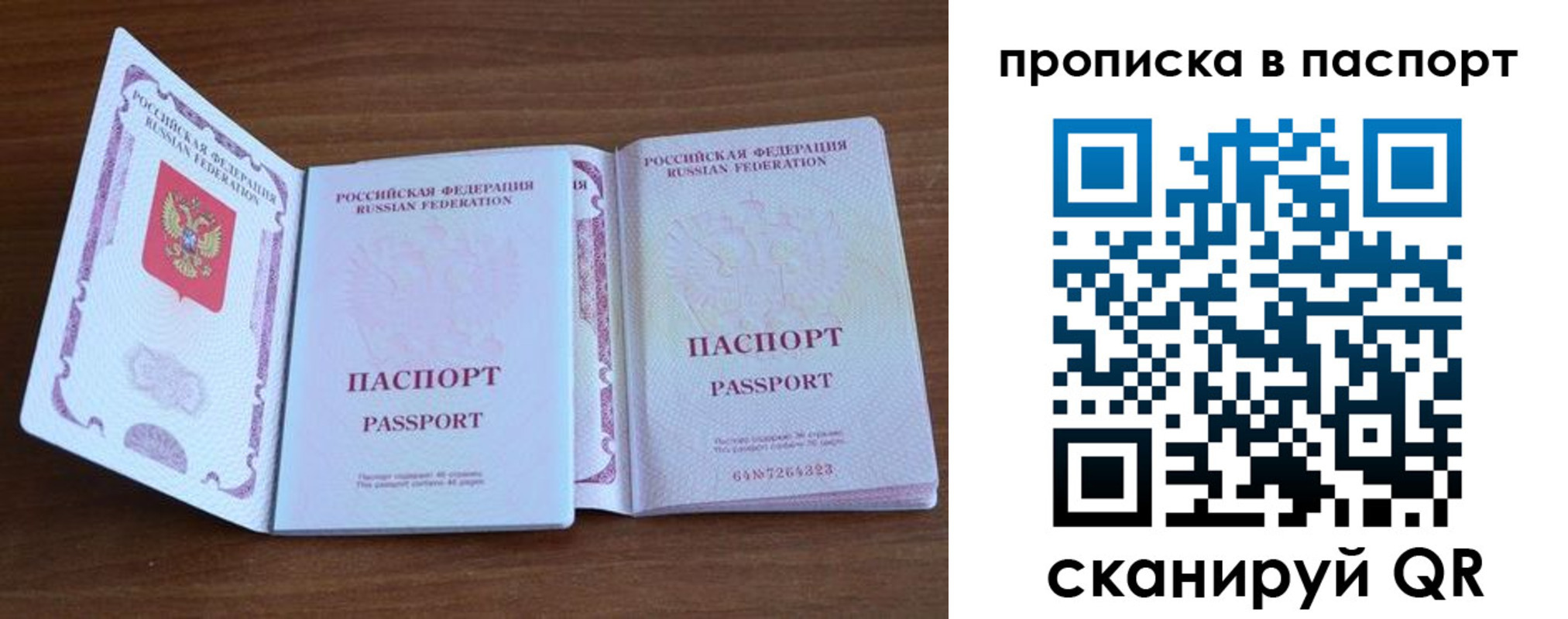 временная регистрация гарантия в Оренбурге